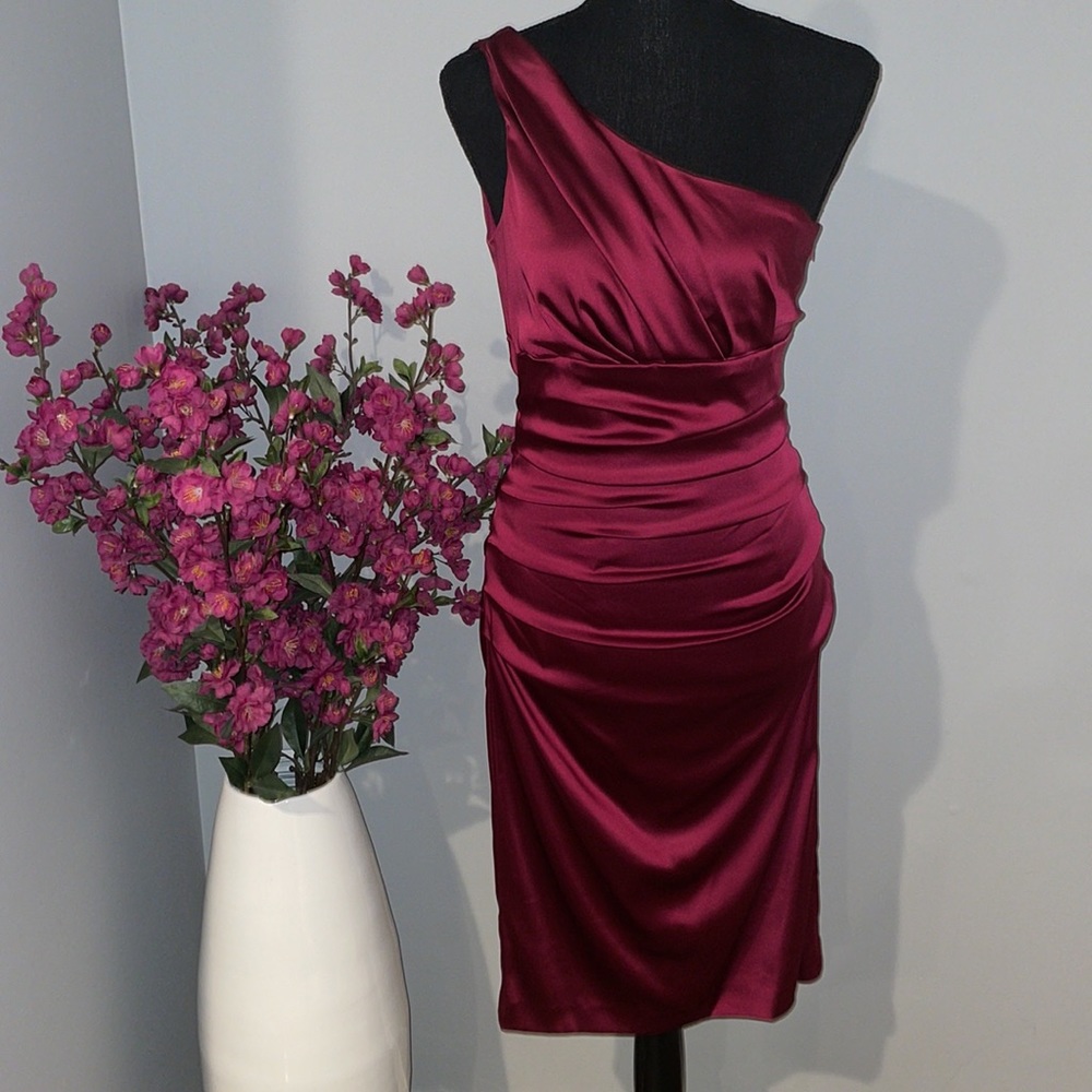 Boston Proper Merlot Asymmetrical Dress
